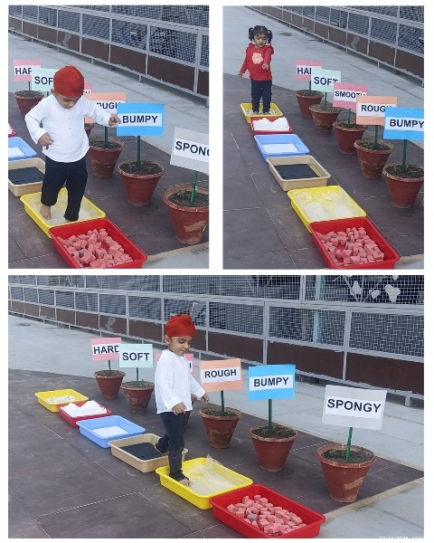 Touch and Feel Sensory Activity