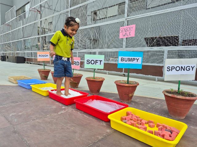 Exciting Sensory Walk